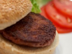 Premier burger de viande artificielle